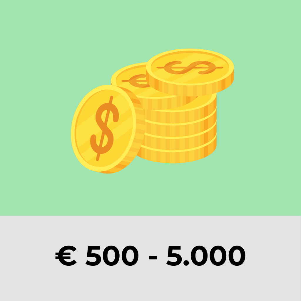 € 500 - 5.000